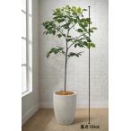  Tokyo район бесплатная доставка fi rental Ben ga Len sis способ искусственная зелень H1840 / примерно 1.8m человеческий труд декоративное растение 