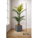  Tokyo район бесплатная доставка areka cocos nucifera способ искусственная зелень офис зеленый H1300 / 1.3m человеческий труд декоративное растение 