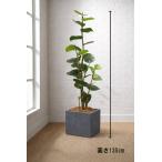  Tokyo район бесплатная доставка si- серый p здесь осел способ искусственная зелень H1350 / примерно 1.4m горшок имеется интерьер зеленый человеческий труд декоративное растение 