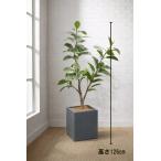  Tokyo район бесплатная доставка fi rental arte sima способ . ввод искусственная зелень горшок имеется H1260 / примерно 1.3m человеческий труд декоративное растение 