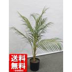  искусственная зелень areka cocos nucifera способ горшок имеется H780 / примерно 0.8m человеческий труд декоративное растение офис зеленый 