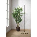  Tokyo район бесплатная доставка Benjamin способ искусственная зелень H1620 / примерно 1.6m интерьер зеленый человеческий труд декоративное растение 