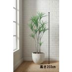  Tokyo район бесплатная доставка искусственная зелень H2030 декоративное растение человеческий труд декоративное растение темно синий sinne способ горшок имеется посадочная машина имеется 