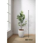  Tokyo район бесплатная доставка искусственная зелень H1820 декоративное растение человеческий труд декоративное растение вечнозеленый ясень способ горшок имеется посадочная машина имеется 