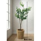  Tokyo район бесплатная доставка искусственная зелень H2180 декоративное растение человеческий труд декоративное растение каучуковое дерево способ горшок имеется из дерева посадочная машина имеется 