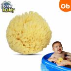 Baby Buddy( baby bati) натуральный автобус губка Sea Wool( premium soft )[.. пачка бесплатная доставка ]