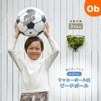ビーチボール　サッカーボール40cm【ネコポス】イガラシ　季節玩具　水遊び　こども　女の子　男の子　40cm　膨らましサイズ約27cm