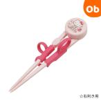 子供用トレーニング箸ハローキティ練習箸