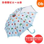 子供 ビニール傘 はらぺこあおむし　ギンガム　手開き 子供 こども 子ども 長傘 雨傘 キッズ 通園 通学 雨具 レイングッズ プレゼント Skater  スケーター　