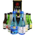 越後 雪紅梅 飲み比べ8本セット 300ml×8本 長谷川酒造 日本酒 ギフト お土産 プレゼント 忘年会 新年会 お正月 コストコ