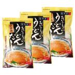 テイスティ 関西風 うどんだし ティパックタイプ 5パック 10食入り３袋セット 完全味付き 和風だし 万能だし 出汁 鍋物 おでん 煮物