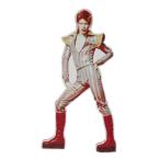  почтовая доставка бесплатная доставка David * bow i значок London V&amp;A музей выставка просмотр . картинная галерея из дерева jigi-* Star пыль V&amp;A
