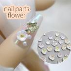 5 штук входит цветок жемчуг имеется Nailparts декоративные элементы ногти аксессуары заклепки искусство декоративный элемент материалы бабочка Aurora 