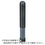 HALDER ( ロームヘルド・ハルダー )　スタッドボルトＤＩＮ６３７９　Ｔナット用　強度クラス１０．９ピン径Ｍ１０全長８０ ( 23040.0102 )