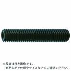 TRUSCO ( トラスコ中山 )　六角穴付止めねじ　平先　黒染め　Ｍ１０×６５　６本入 ( B63-1065 )