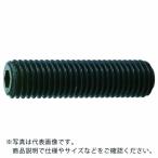 TRUSCO ( トラスコ中山 )　六角穴付止めねじ　平先　黒染め　Ｍ１４×１６　１０本入 ( B63-1416 )