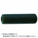 TRUSCO ( トラスコ中山 )　六角穴付止めねじ　平先　黒染め　Ｍ１６×７５　２本入 ( B63-1675 )