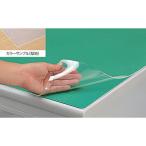 NAIKI ( ナイキ )　デスクマット　ダブルタイプ（下敷グリーン）　透明　１０９０×６９０ ( CR117D-GR ) (メーカー取寄)