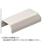 未来 ( 未来工業 )　１号モール付属品（エンド）　カベ白 ( MLE-1W )
