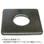 DAIDOHANT ( ダイドーハント )　ＨＰ　ステンレス　角座金　Ｍ１０　２枚入 ( 10184792 )