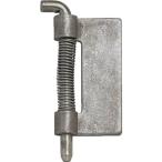 SUGATSUNE ( スガツネ工業 )　（１７００９９９４３）ピボットヒンジ※在庫限り ( PV345 ) (メーカー取寄)