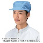 TriApex ( 東洋リントフリー )　クリーンキャップ　ＦＤ４５１Ｃ　ブルー　Ｌ ( FD451C-02-L )