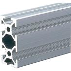 TRUSCO TSF20 рама 20X40-100 ( TSF2040-100 )