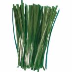 TRUSCO ( トラスコ中山 )　園芸用ビニールタイ　幅４ｍｍ×長さ１００ｍｍ　緑　１００本入 ( GVT100-100 )