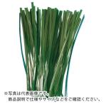 TRUSCO ( トラスコ中山 )　園芸用ビニールタイ　幅４ｍｍ×長さ２００ｍｍ　緑　１００本入 ( GVT200-100 )