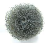 アルゴファイル　バフポリッシャー ( SBP2003 )