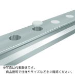 THK LMレール取付穴専用 Cキャップ 使用ボルトM3 ( C3 )