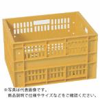 ŷ�� �����å��󥰥���ƥʡ� 672023 ����ƥʡ�TM ����� ( TM  OR(�����) )