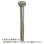 DAIDOHANT ( ダイドーハント )　ステンレス　コーチスクリュー　６ｘ５０（１０頭）（１本） ( 10101793 )