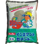 MATERAN ( トーヨーマテラン )　インスタントセメント灰　４ｋｇ　（１個入） ( NO5105 )