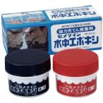 セメダイン 水中エポキシ 100gセット(水の中でも固まる)  ( CA-152 )