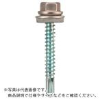 WAKAI ( 若井産業 )　ダンバ　ステンキャップ　５Ｘ２５ ( 69525CZ )