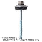 WAKAI ( 若井産業 )　ダンバ　ステンキャップ　山座セット　ネオパッキン　座金外径２５ｍｍ　６Ｘ７０　（１００本入） ( 69700CY ) (メーカー取寄)