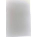 TRUSCO マグネットシート艶無200X300 白 ( MS-N2-W ) トラスコ中山(株)