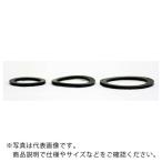 IWA ( 岩崎製作所 )　管鎗用　吐水口パッキン ( 04TO40PK ) (メーカー取寄)
