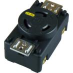  american электро- машина .. форма panel для розетка заземление (элект.) 2P 20A 125V ( 3210-P-L5 )