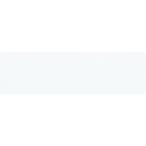 マグエックス マグネットラベル M 15枚入り ( MNAME-M ) (株)マグエックス