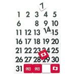 マグエックス マグネットデートシート 大 ( MSD-31B ) (株)マグエックス