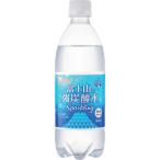 IRIS 【※軽税】 富士山の強炭酸水 500ml×24本×2ケース ( 311137 )