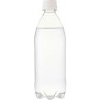IRIS 【※軽税】 富士山の強炭酸水ラベルレス 500ml×24本×2ケース ( 311517 )