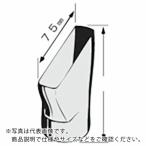 ボッシュ　センタンノズル　Ｎ４　ＰＨＧ５００ ( PHG-N4 )