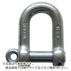 TAIYO ( 大洋製器工業 )　捻込シャックル　電気　６ＭＭ（３００８６６４） ( NGS6E )