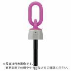 ＲＵＤ　バリオリングロングボルトタイプ　ＶＷＢＧ　Ｍ１０Ｌ ( VWBG-M10L )