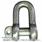 TAIYO ( 大洋製器工業 )　ＪＩＳシャックル　Ｍ級　ドブ　ＳＣ−１６（３０１０６１０） ( JSC16G )
