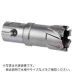 ミヤナガ 磁気ボール盤カッター  デルタゴンメタルボーラー250A Φ22 ( DLMB25A22 )