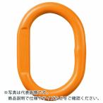 KITO ( キトー )　チェンスリング　カナグ部材（アイタイプ）　マスターリンクＨＭＭ　基本使用荷重１．１ｔ／１．７ｔ ( HMM0706 )
